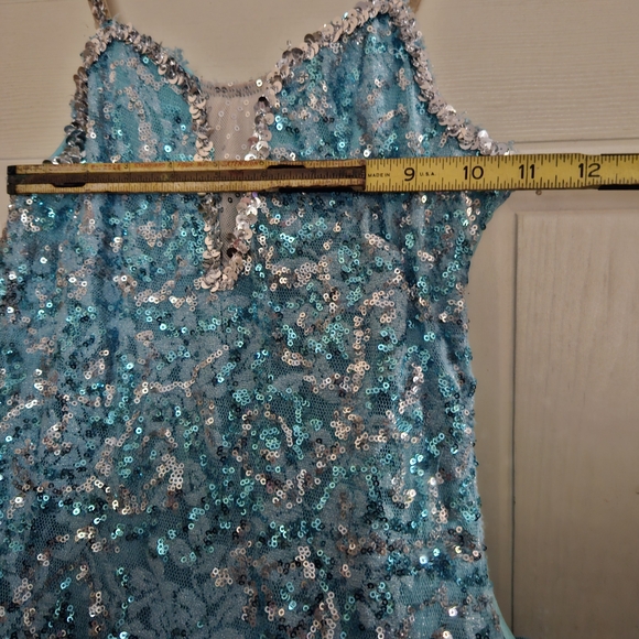 Women/Teens Sparkling Blue Princess/Fairy/Ballet Costume - Picture 9 of 13